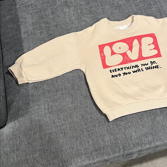 NWOT Zara Toddler Crewneck - Picture 4 of 4